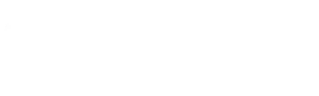 brand icon