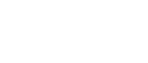 brand icon